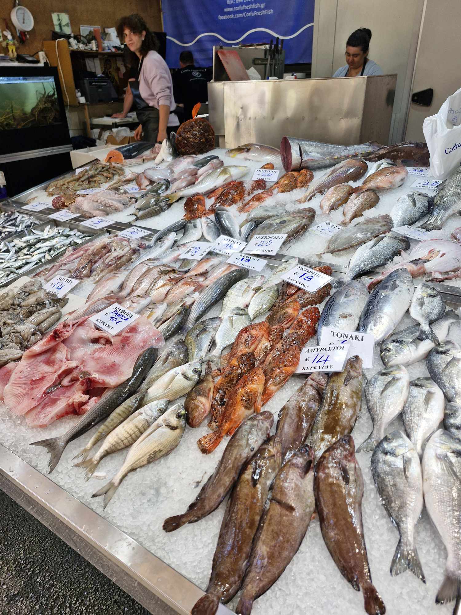 Corfu market & cooking class